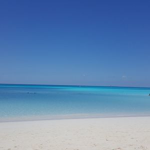 Meet your Posher, Joanne